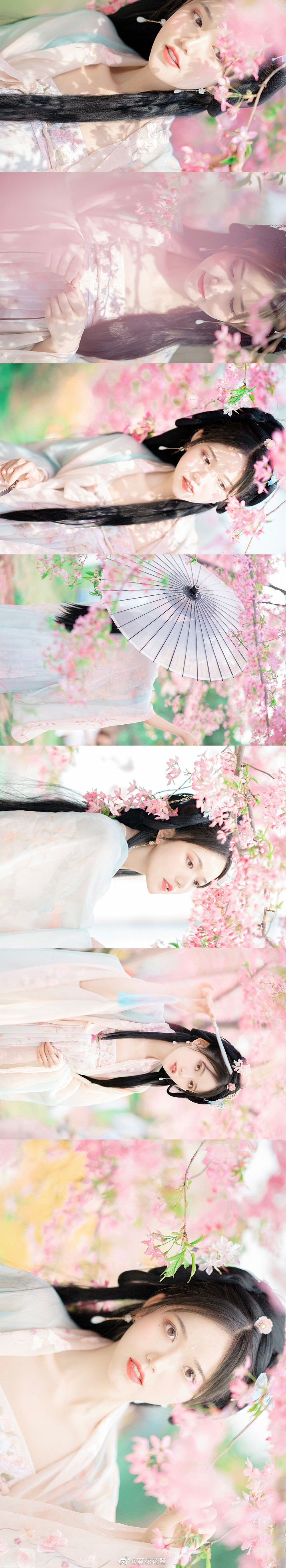 春日美人图鉴 ｜樱 •
春天的时候，我就是那个四处追花的人。
因为春光和花朵这样美好的事物，是会让人看着都开心明朗起来的呀。
摄影@葵花花酱
服装@子颂东方美学游园惊梦
同行@阿玄玄子
地点@成都漫花庄园
#成都约拍##樱花季##成都醉美樱花季#