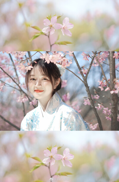 #重庆约拍#
SAKURA ​
cr@四爪張渝