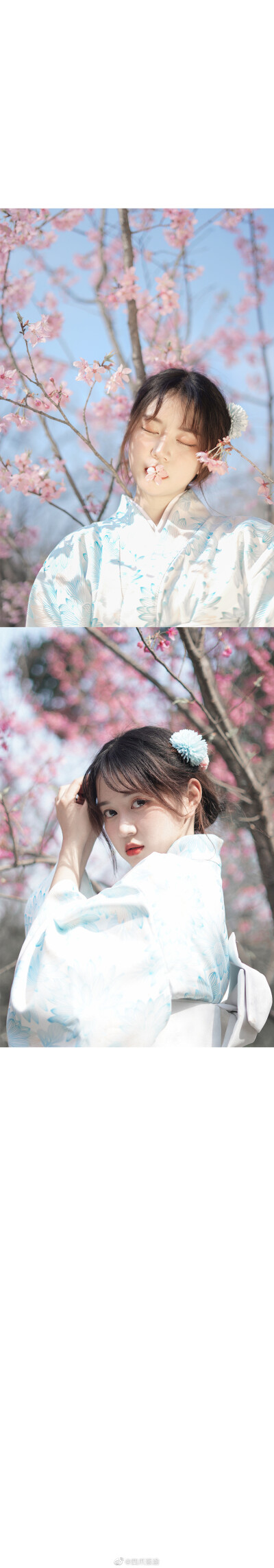 #重庆约拍#
SAKURA ​
cr@四爪張渝