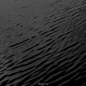 【人间黑白往复】 

©️-莉莉日记-