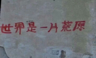 野生文字标语