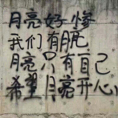 野生文字标语