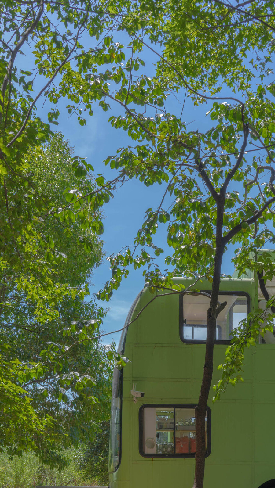 背景，夏天的感觉