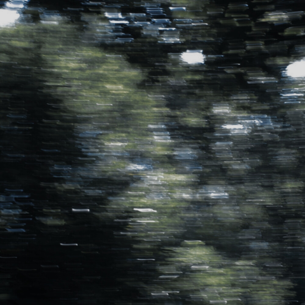 不因一叶障目，而不识神秀岱宗。不因一朝风月，而不解万古长空。
JOY 朴秀荣 RedVelvet
经年辰景
原截金时宜