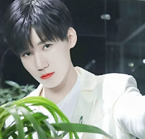 TNT时代少年团——张真源