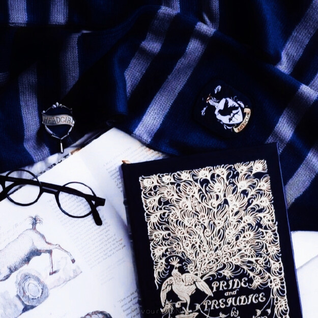 Ravenclaw '拉文克劳 _
◔郑号锡 二传注明花骑遗珠
cr. FALLINHOPE_218