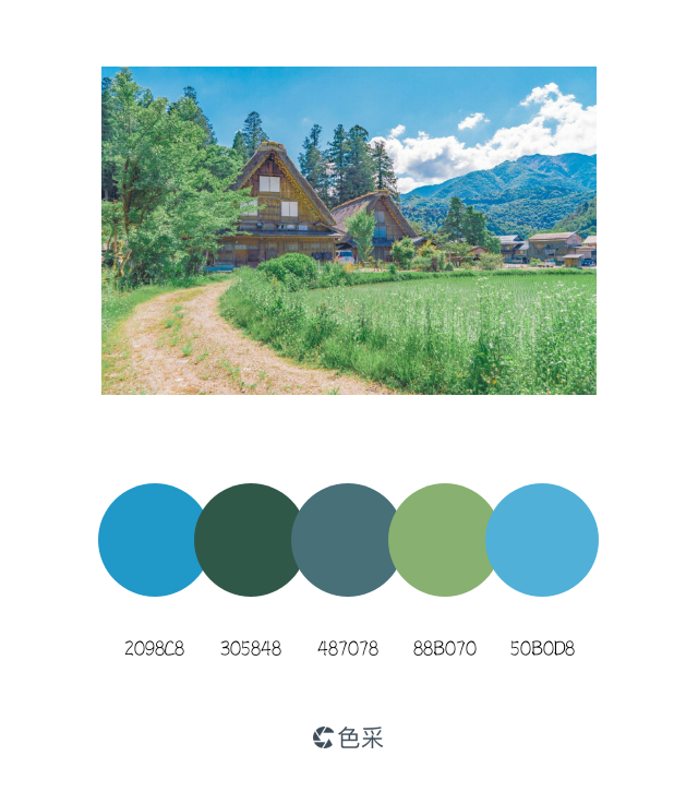 二转使用注明dt夏日雾大／子曰