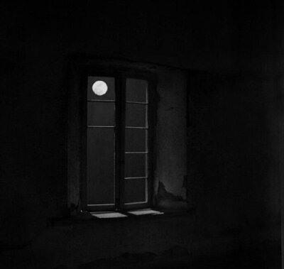 “我瞒着宇宙山河，悄悄想了你一下” ​​​