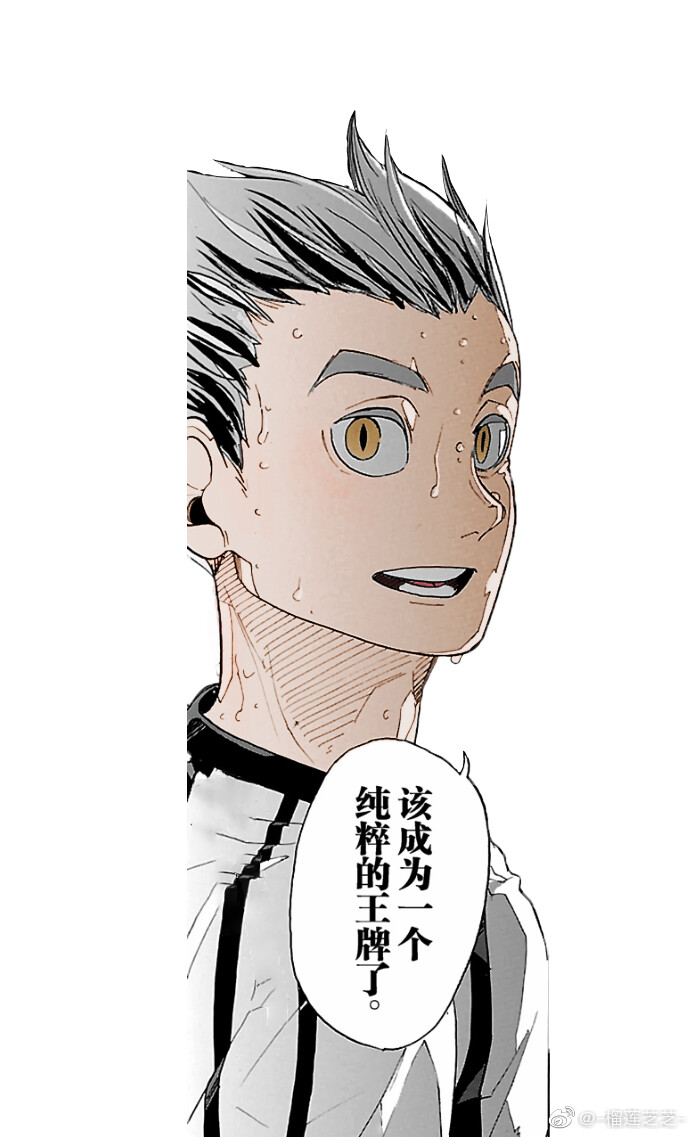 排球少年