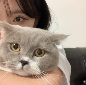 抱猫女头