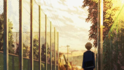 《海边的异邦人》