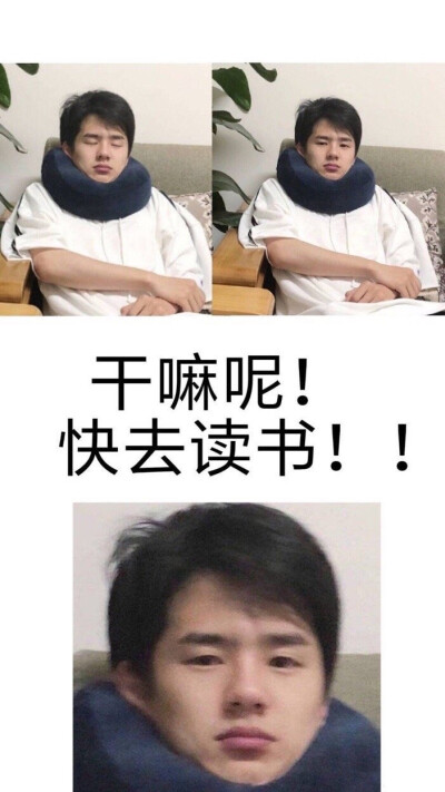 ▸刘昊然
"快去读书！"