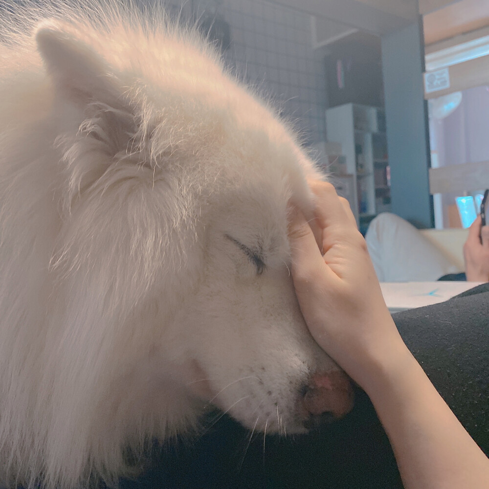 谁还不是个爱撒娇的宝贝