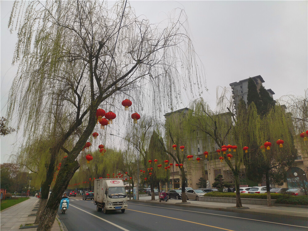 美丽吉安：袅袅垂柳迎春风
3月5日，在江西吉安白鹭洲书院廊桥处，垂柳在春风的吹拂下，扭动着欢快的舞姿、奏响那动人的音符，真是美景如画、风情万种。（摄/肖勇）