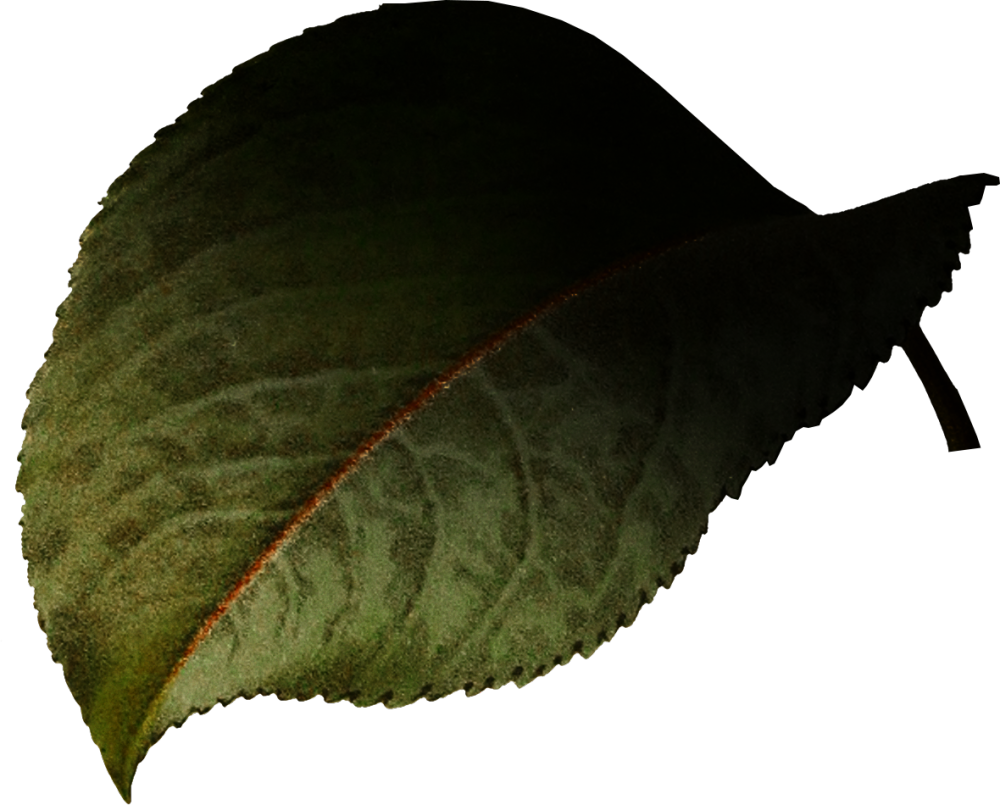 拿图的就点个赞支持一下嘛~不定时更新素材呦~大家可以点击收藏~