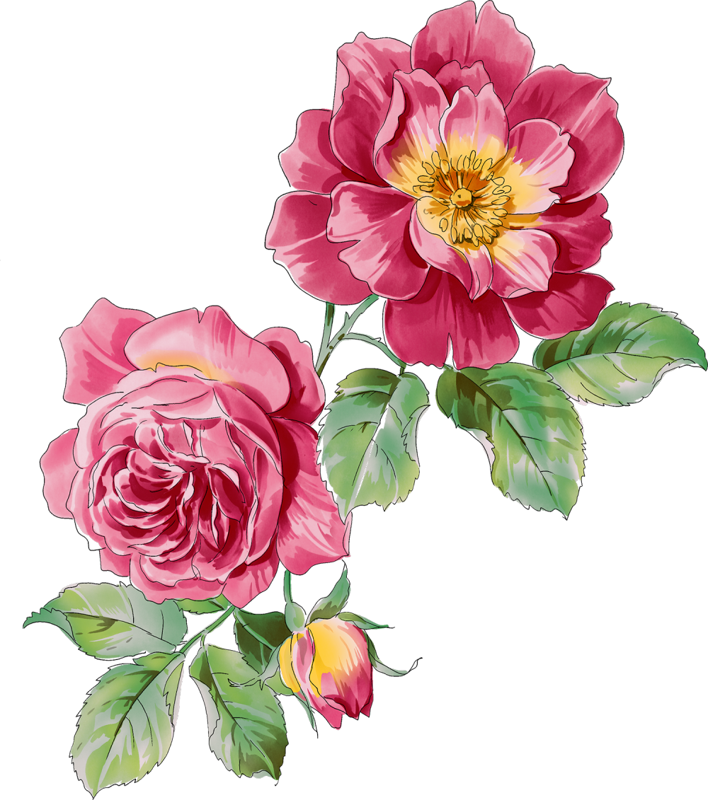 拿图的就点个赞支持一下嘛~不定时更新素材呦~大家可以点击收藏~