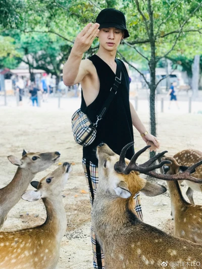 高清图片,堆糖,美图壁纸兴趣社区