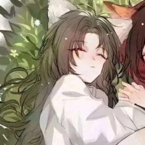 【天官赐福】谢怜、花城
