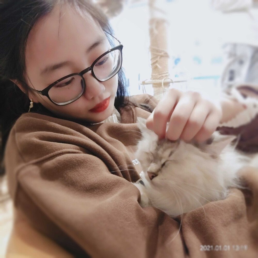 女孩和猫 阳光正好