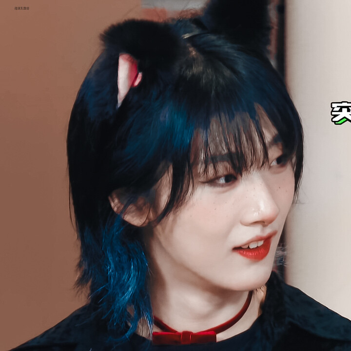 椰桃姐姐真的是小猫吧！