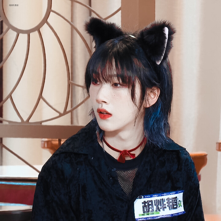 椰桃姐姐真的是小猫吧！