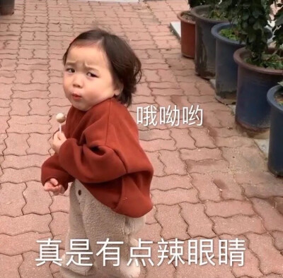 更新一波表情包