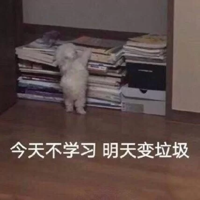 学习表情包