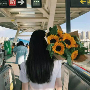 花儿