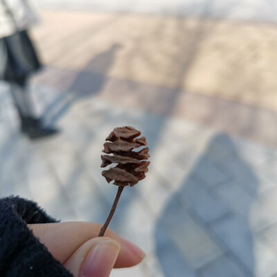花草树木