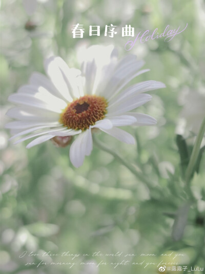 把春天搬回家里～
摄影@露露子_LuLu
#春天# ​​​