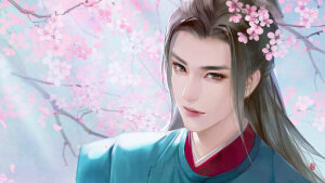 〔 苏幕遮 〕公子世无双 °