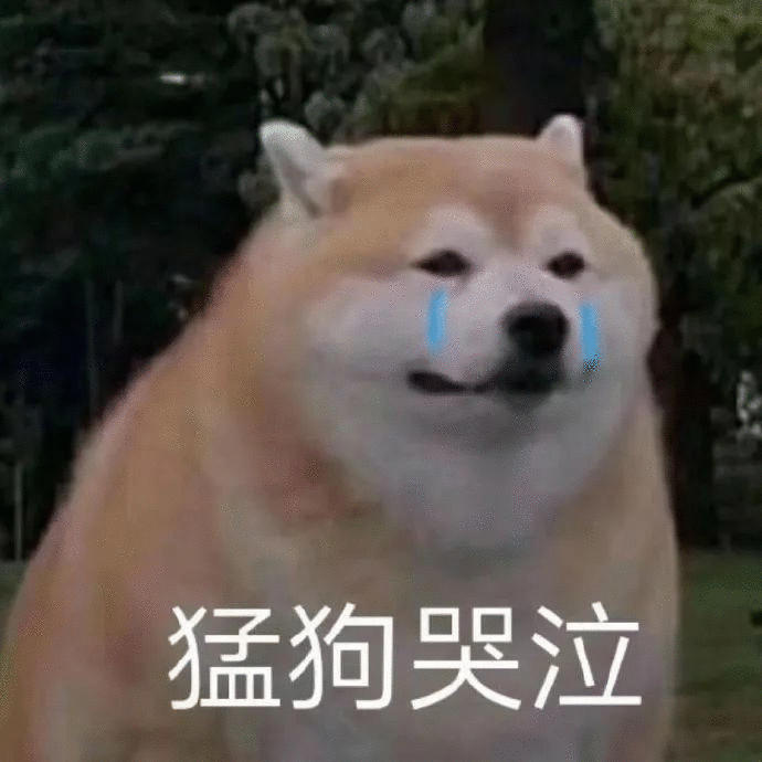 为什么换不了头像！？