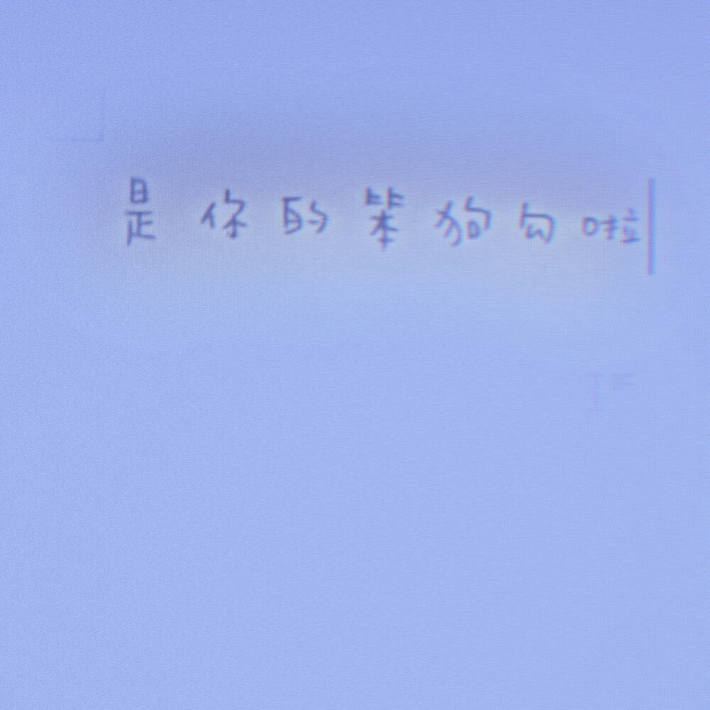 ：狗勾收藏家**贤贤谁不爱呢、