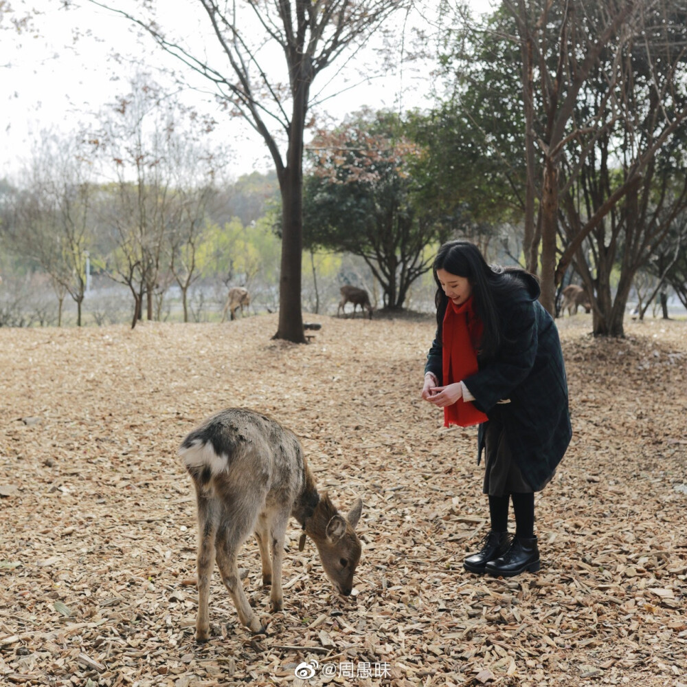 ¹² / ₁₅
一次拍摄花絮。
看到了2020年的第一场雪。
以及，记录人生第一次与小鹿接触。
（真的太可爱啦！）
cr@周愚昧
- ​​​