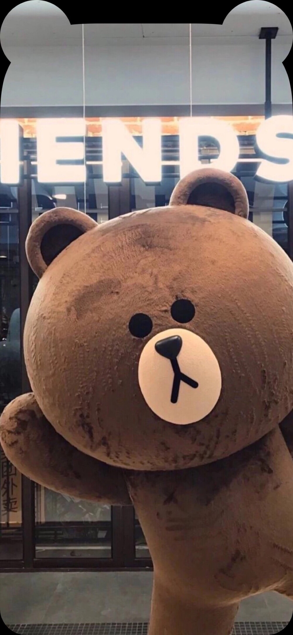 个人喜欢的熊熊高清无水印壁纸