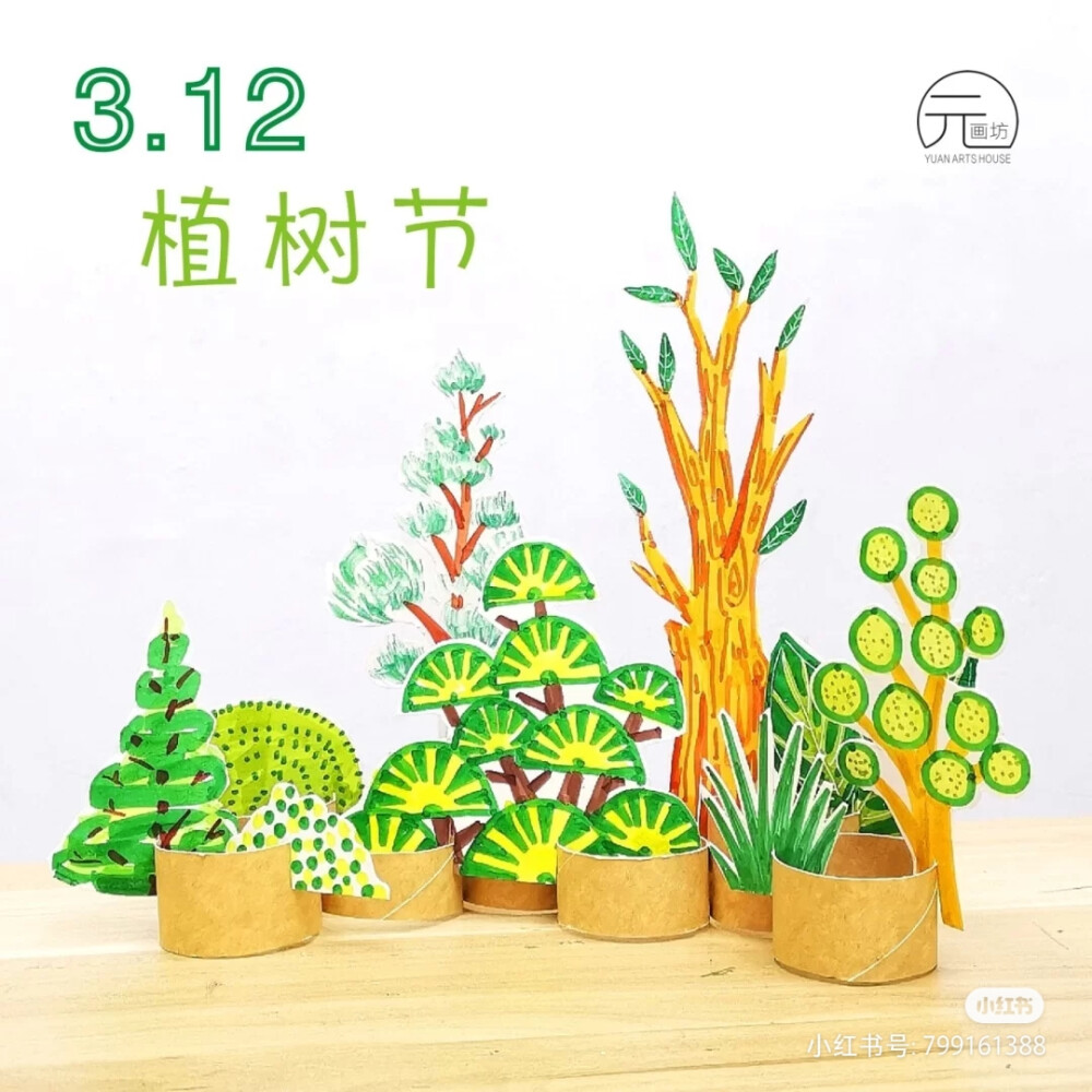 植物