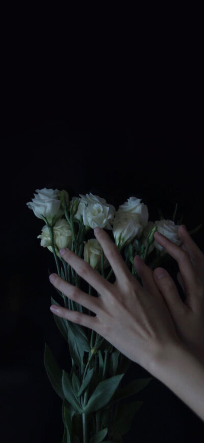 也会有人给你买花匆匆忙忙去见你 ​​