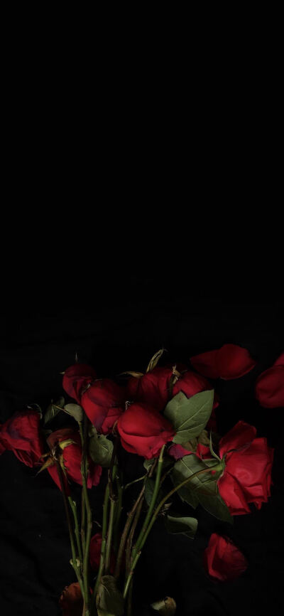 也会有人给你买花匆匆忙忙去见你 ​​