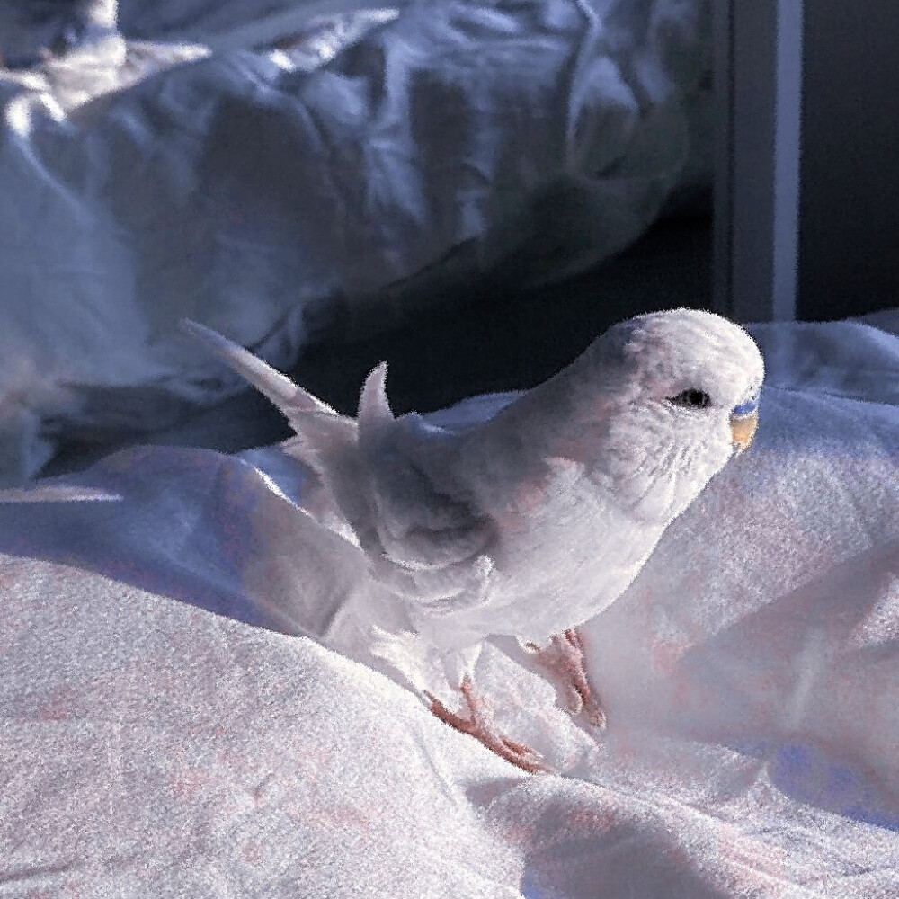 
我将玫瑰藏于身后 随时期待与你邂逅。
