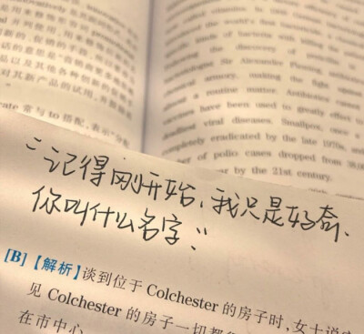 记得刚开始 我只是好奇 你叫什么名字.
今日份朋友圈背景图/ins潮图
源自各处 侵权致歉.