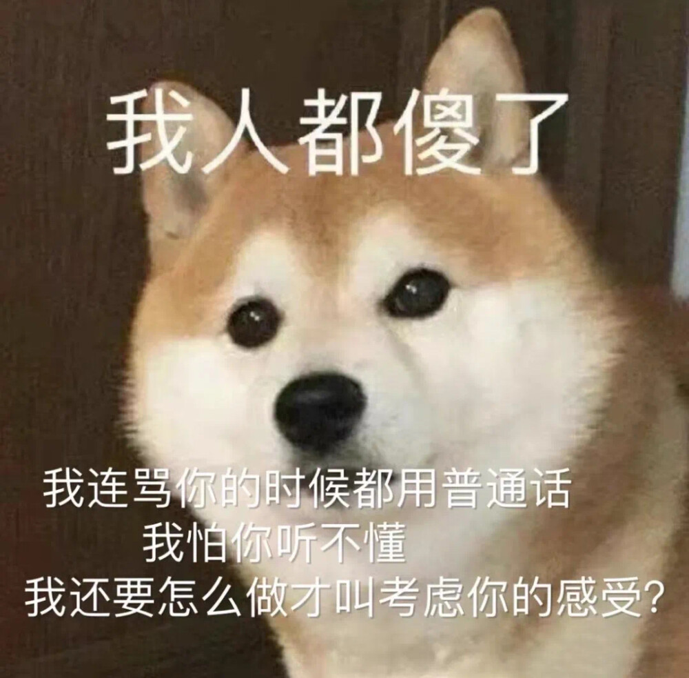 今日表情包热图