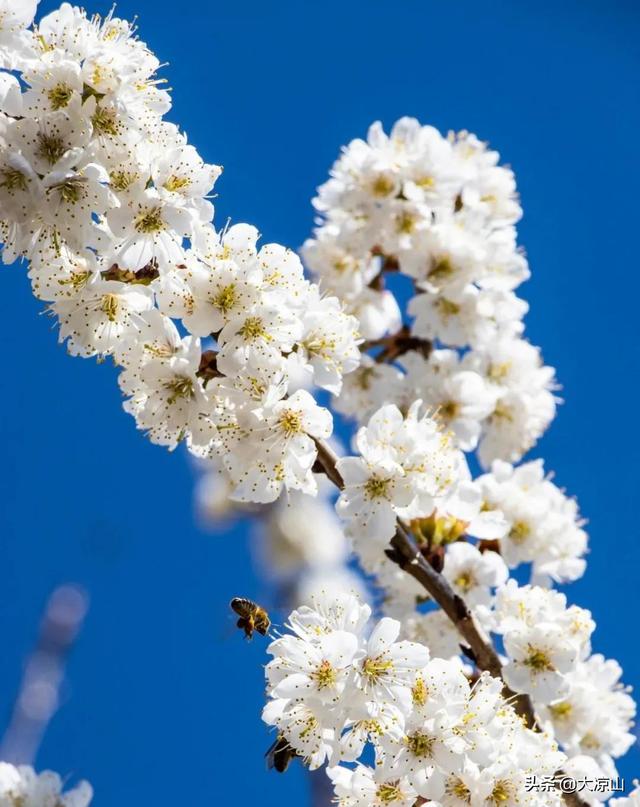 春暖花开