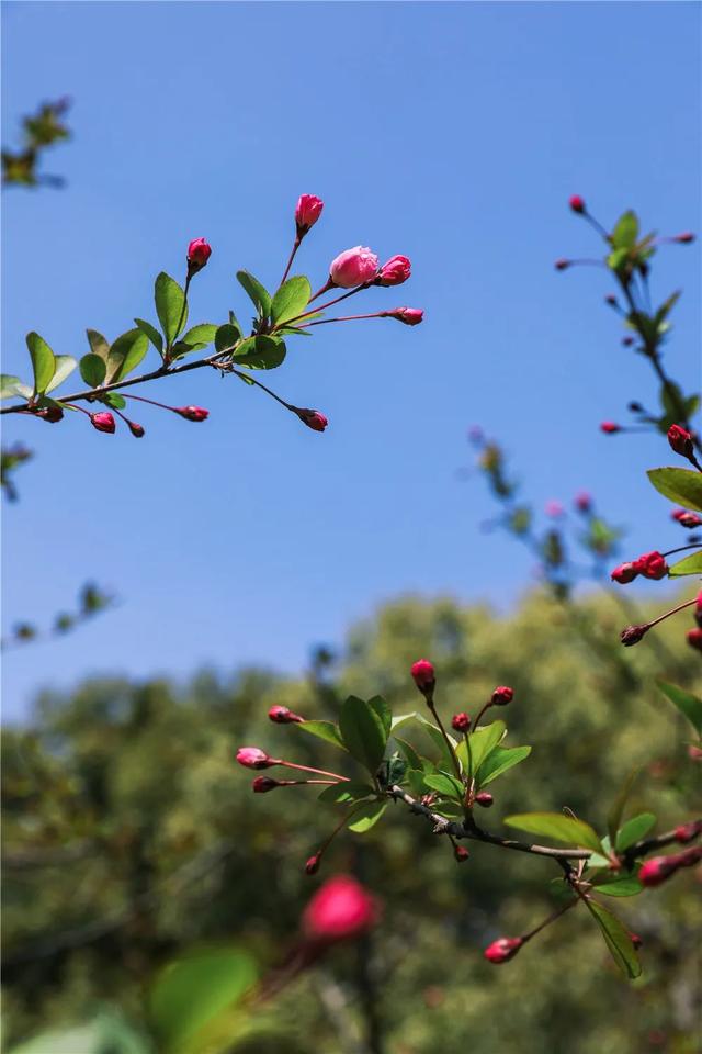 春暖花开