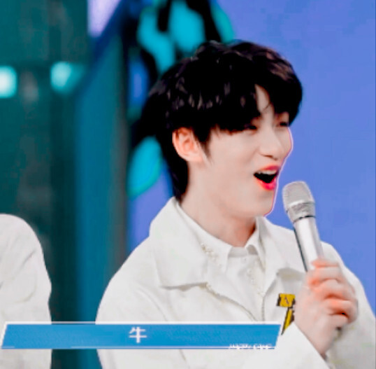 文鑫，祺轩，文严文
原截贺忱煜