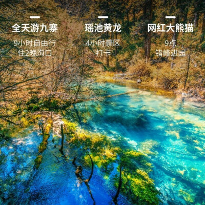 修真绘卷风景图