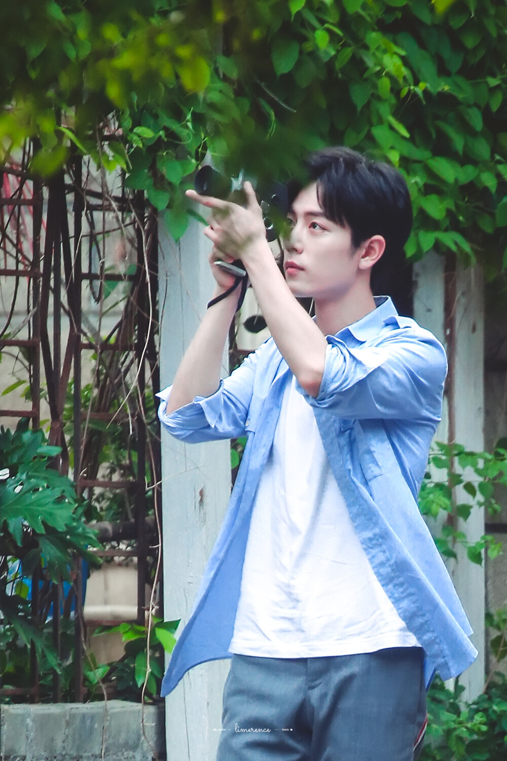 
Limerence·0805x1005·