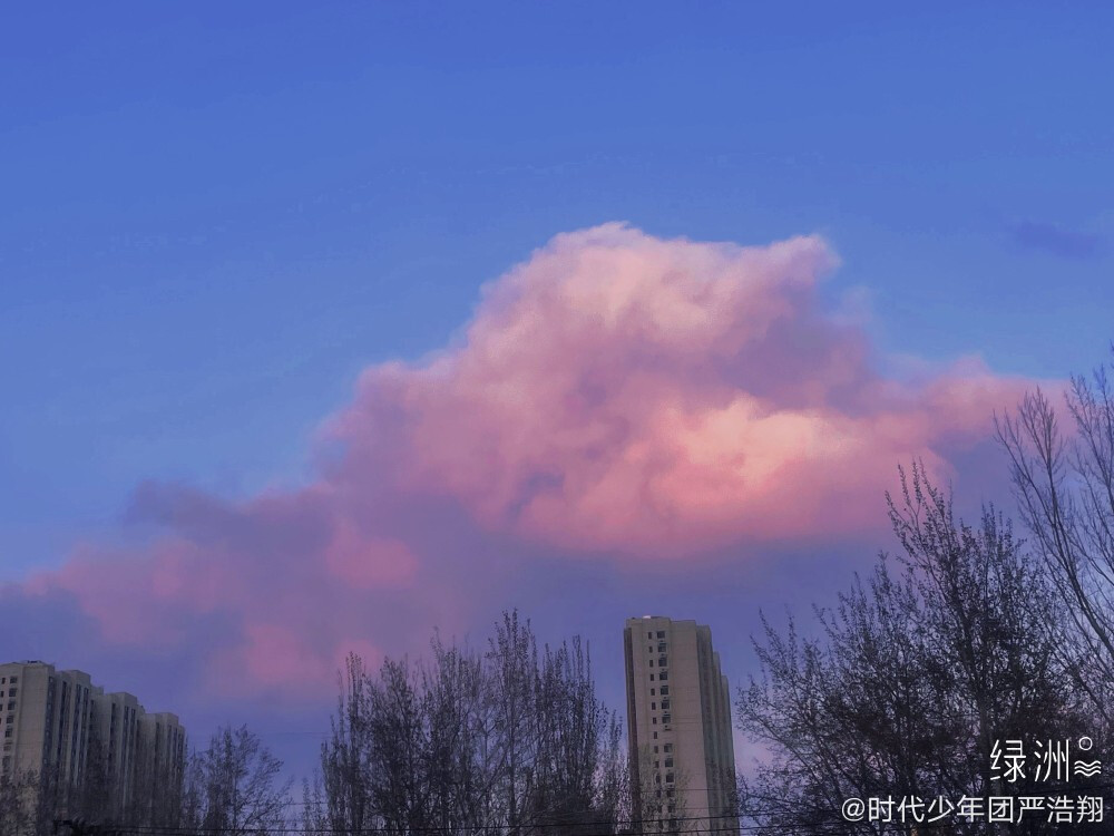 春日风景