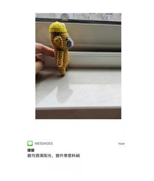 猪猪的冬季早晨