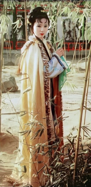 陈晓旭 
