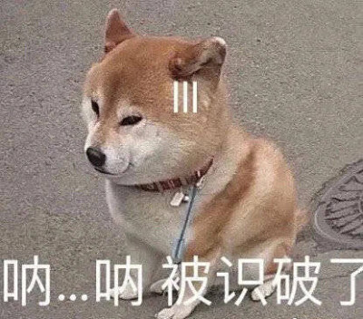 狗